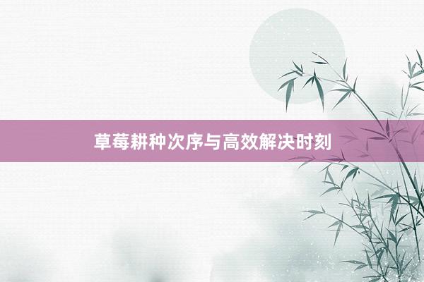 草莓耕种次序与高效解决时刻