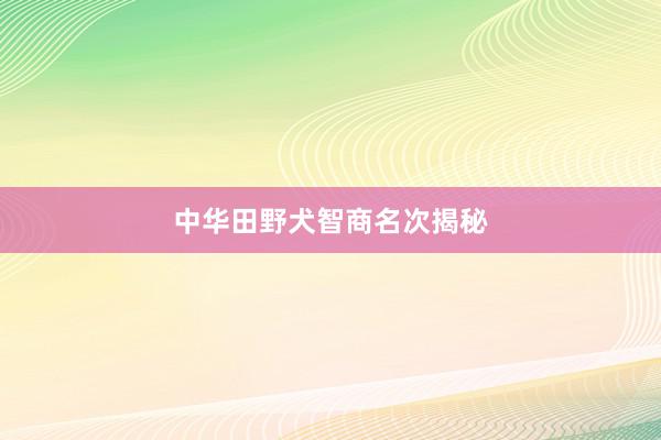 中华田野犬智商名次揭秘