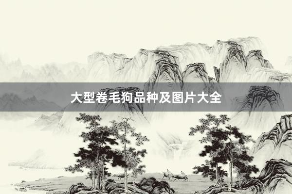 大型卷毛狗品种及图片大全